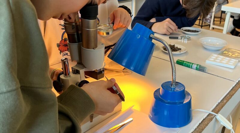 Le bioplastique en classe